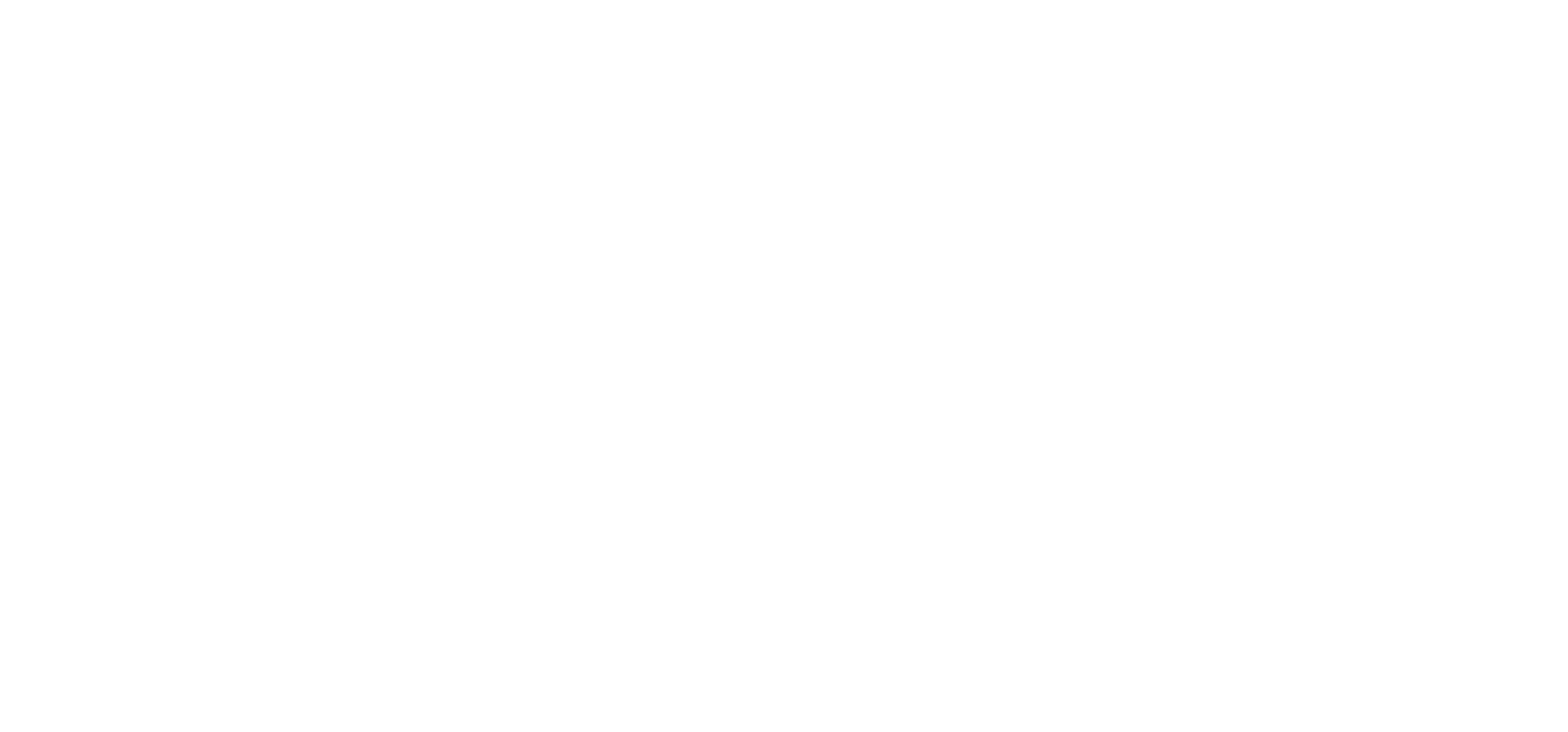 bSpoke logo